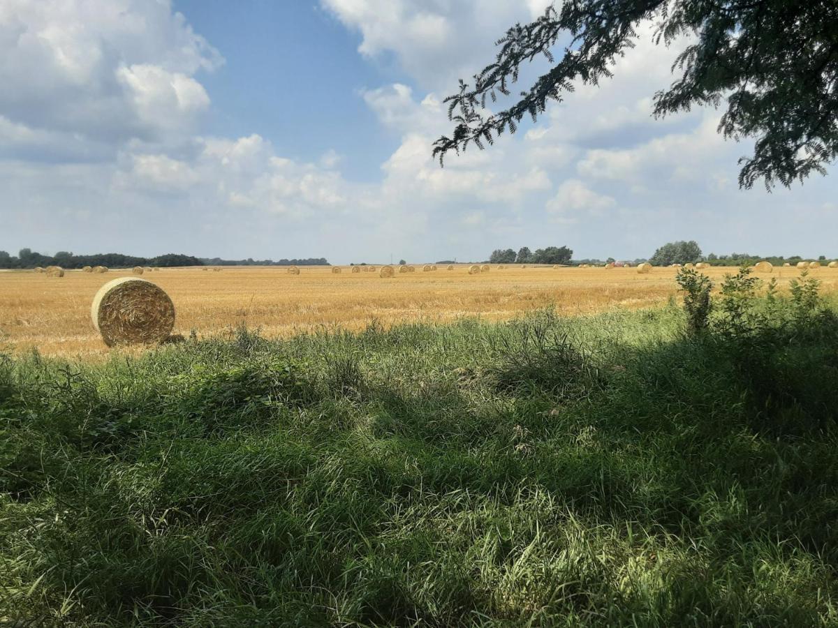 Herberg Tisza Tiszabábolna 외부 사진