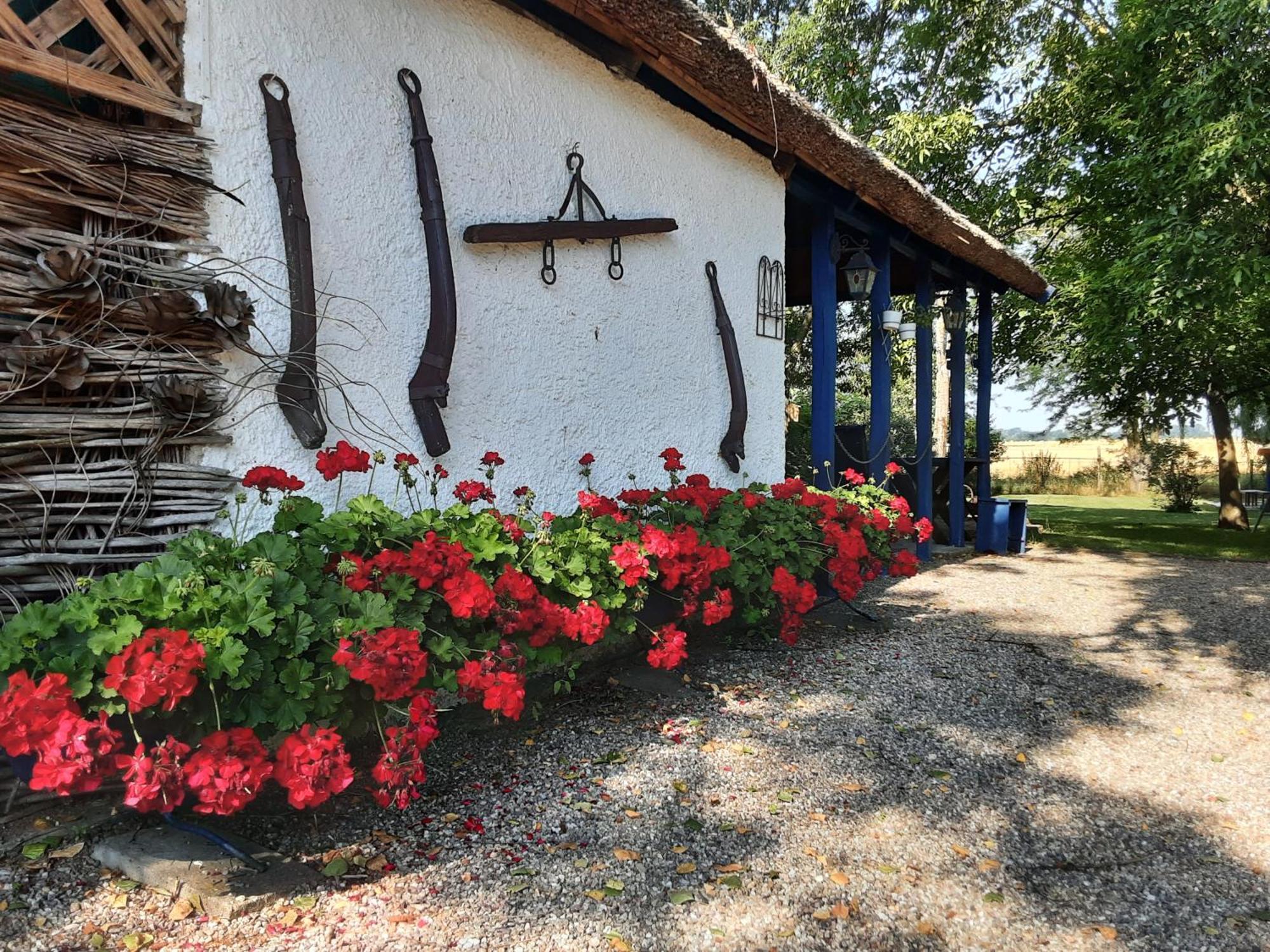Herberg Tisza Tiszabábolna 외부 사진